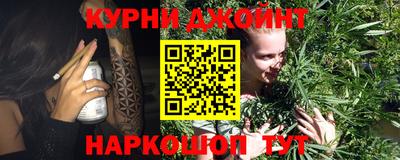 сатива Кимры