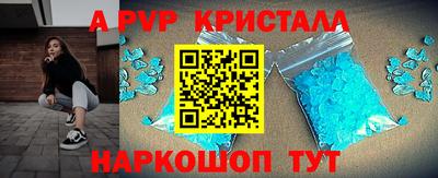 дурь Кингисепп